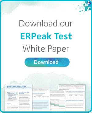 Download ERPeakWhite paper