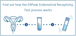 ERPeakTest-process