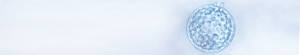 EmbryoBiopsyBanner