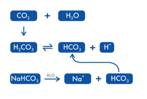Figure 1-01