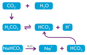 Figure 1-aqua+purple