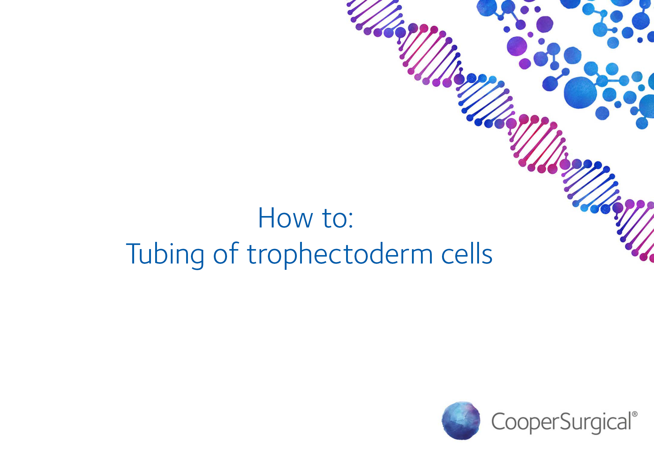 How To Tubing of trophectoderm cells