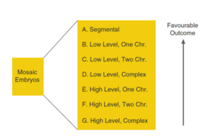 Mosaic_yellow-diagram