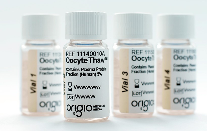 Oocyte-Thaw-820