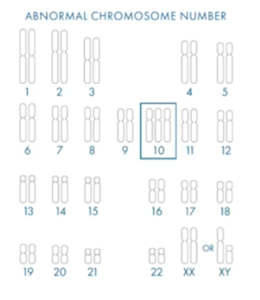 Abnormal chromosome numbers