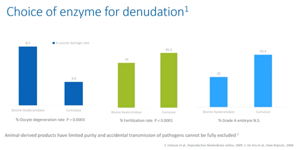 choice of enzyme for denudation