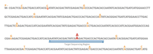 Dads DNA