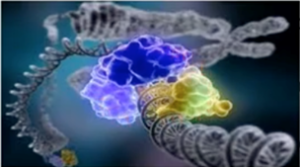 DNA sequencing