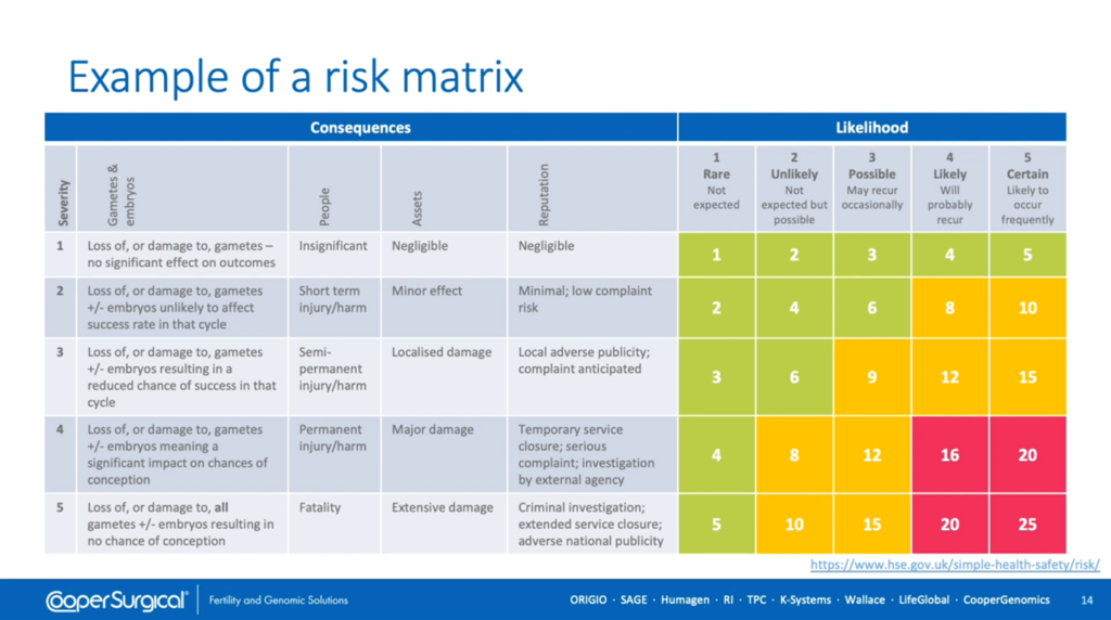 example of a risk matrix