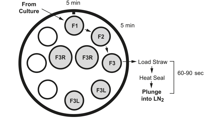 fastFreeze-diagram