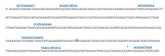 long DNA sequence