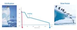 methods of cryopreservation