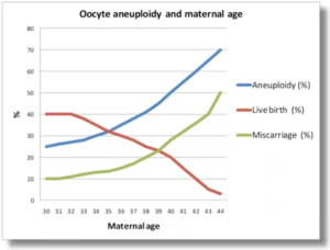 Oocyte aneuploidy and maternal age
