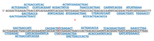 sequence overlap