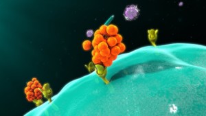 Cytokines
