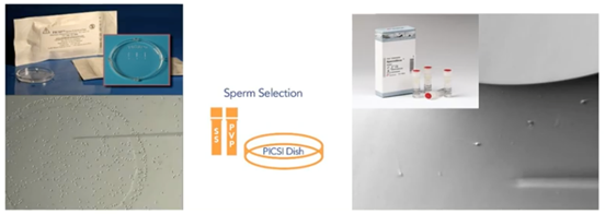 sperm selection