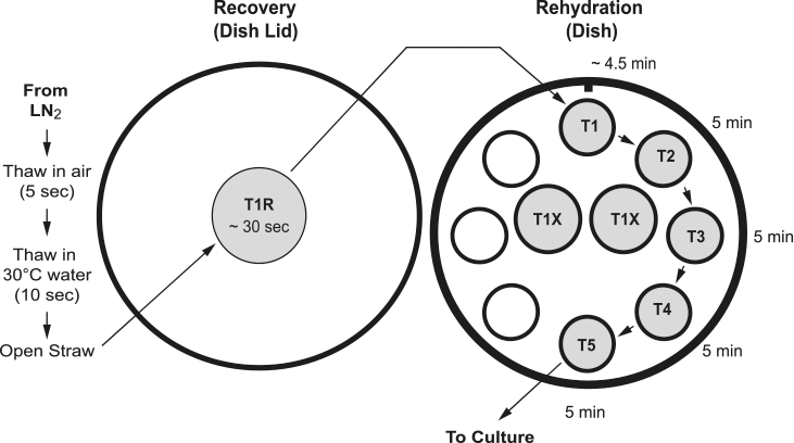 thawing-diagram