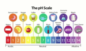 the ph scale